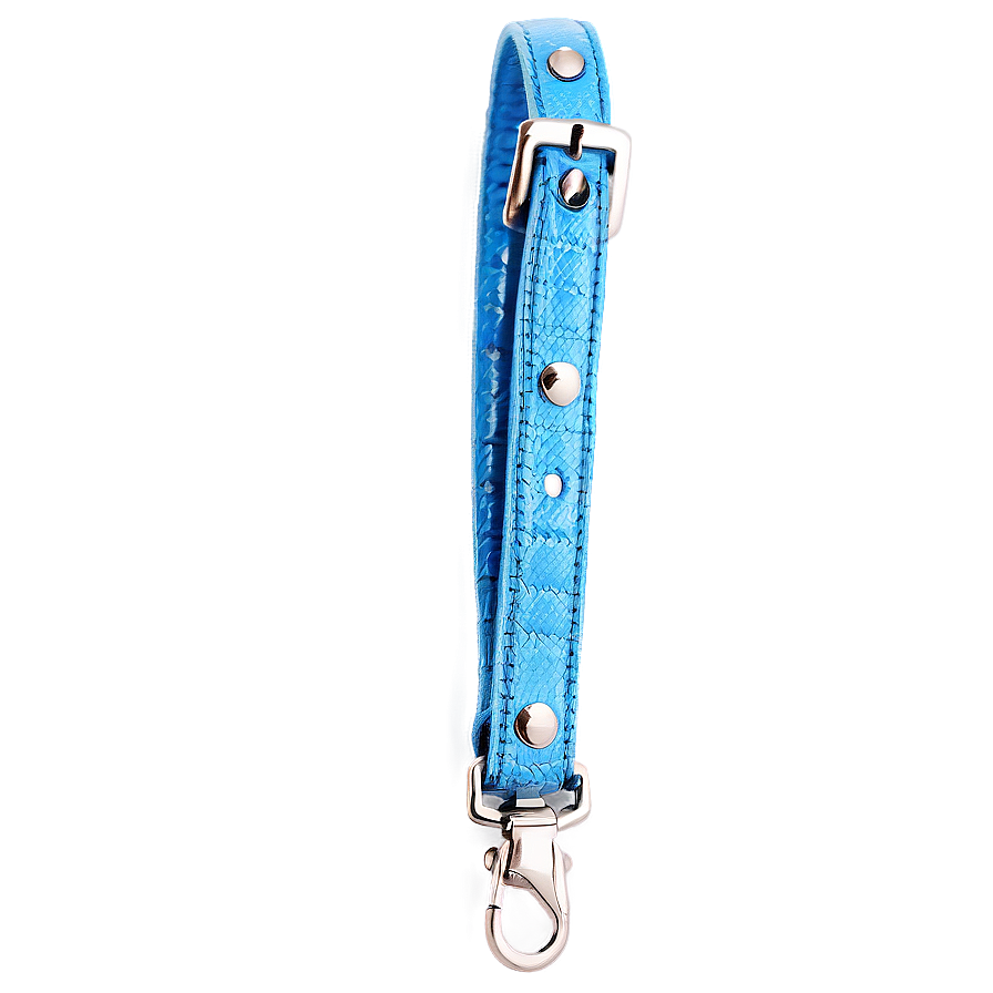 Pet Collar Strap Png Qnf PNG Image