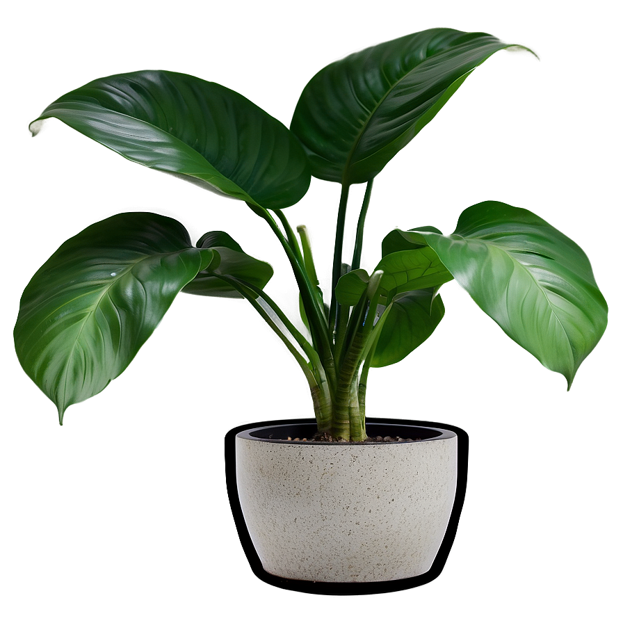 Pet Safe Houseplant Png 96 PNG Image