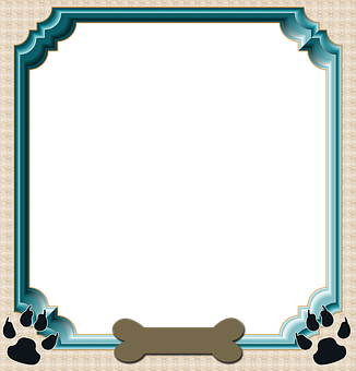 Pet Themed Photo Frame PNG Image