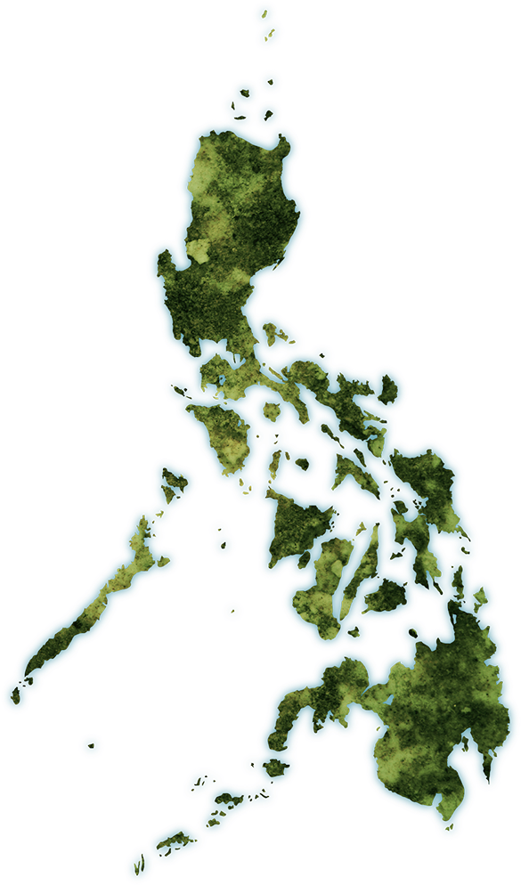 Philippines Topographic Map PNG Image