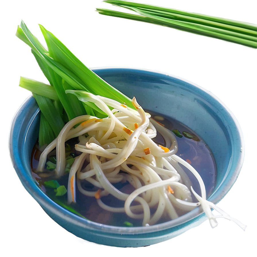 Pho With Bean Sprouts Png 83 PNG Image