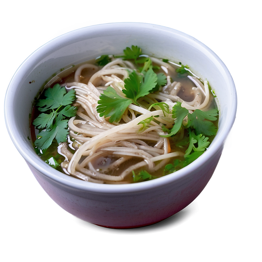 Pho With Fresh Cilantro Png 42 PNG Image