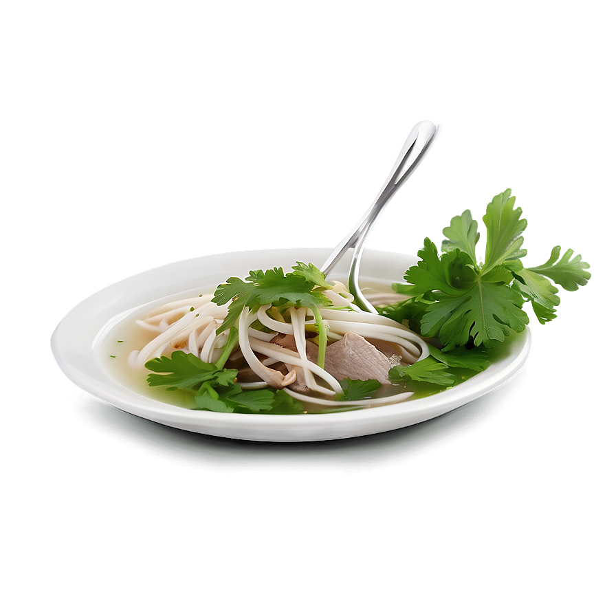 Pho With Fresh Cilantro Png Ofh46 PNG Image