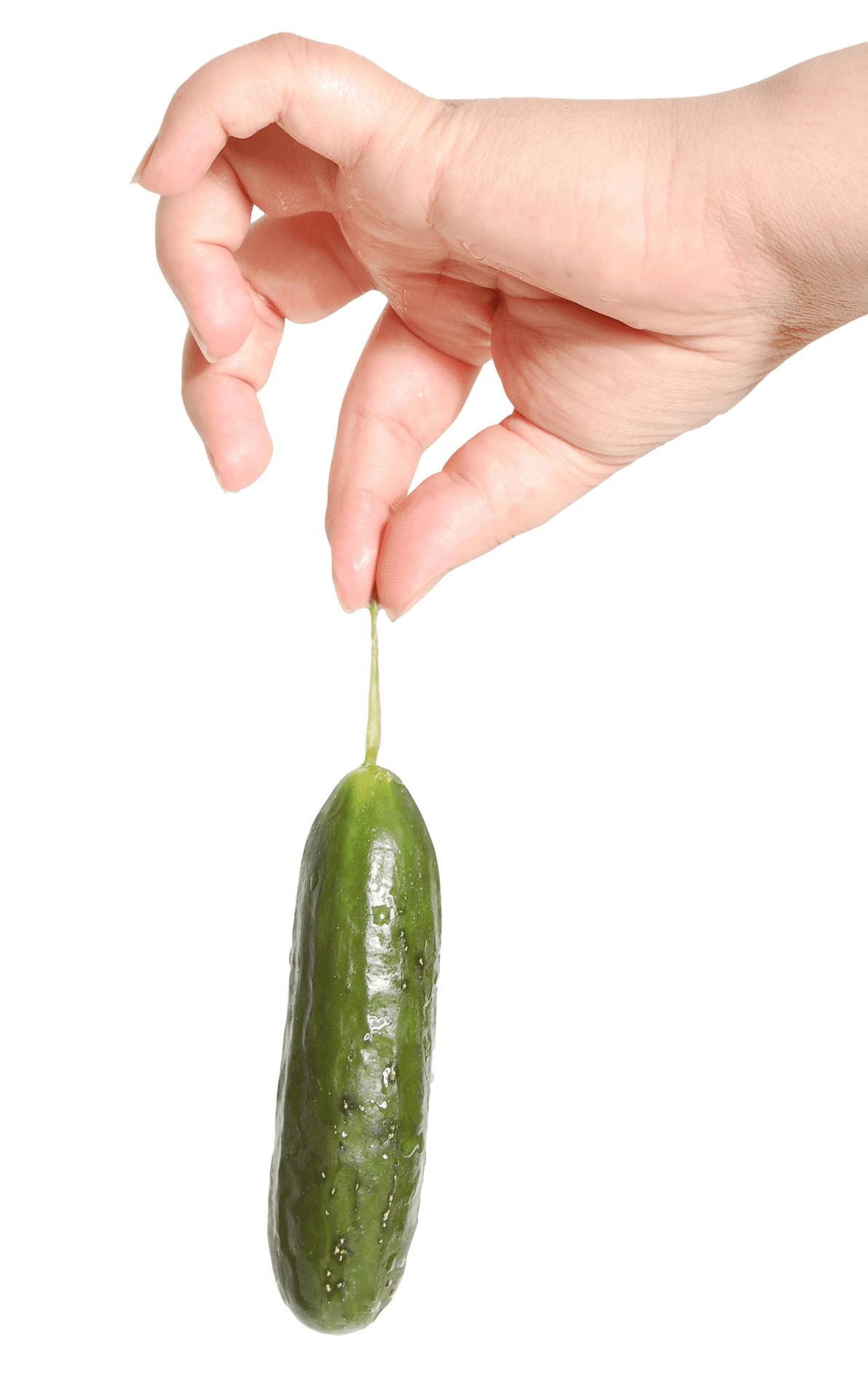 Pickle Dangling From Fingertips.jpg PNG Image