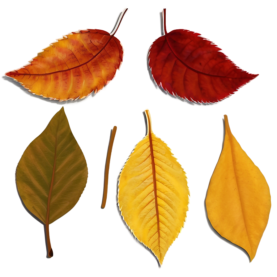 Picturesque Autumn Leaves Png 48 PNG Image