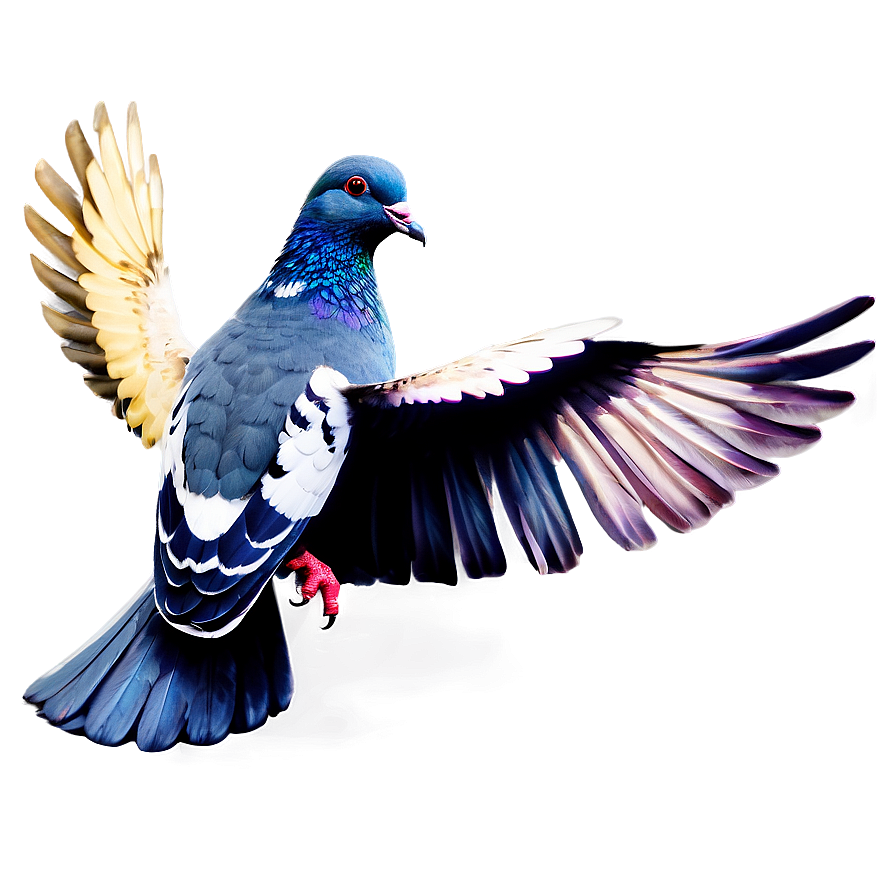 Pigeon With Letter Png Sbw38 PNG Image