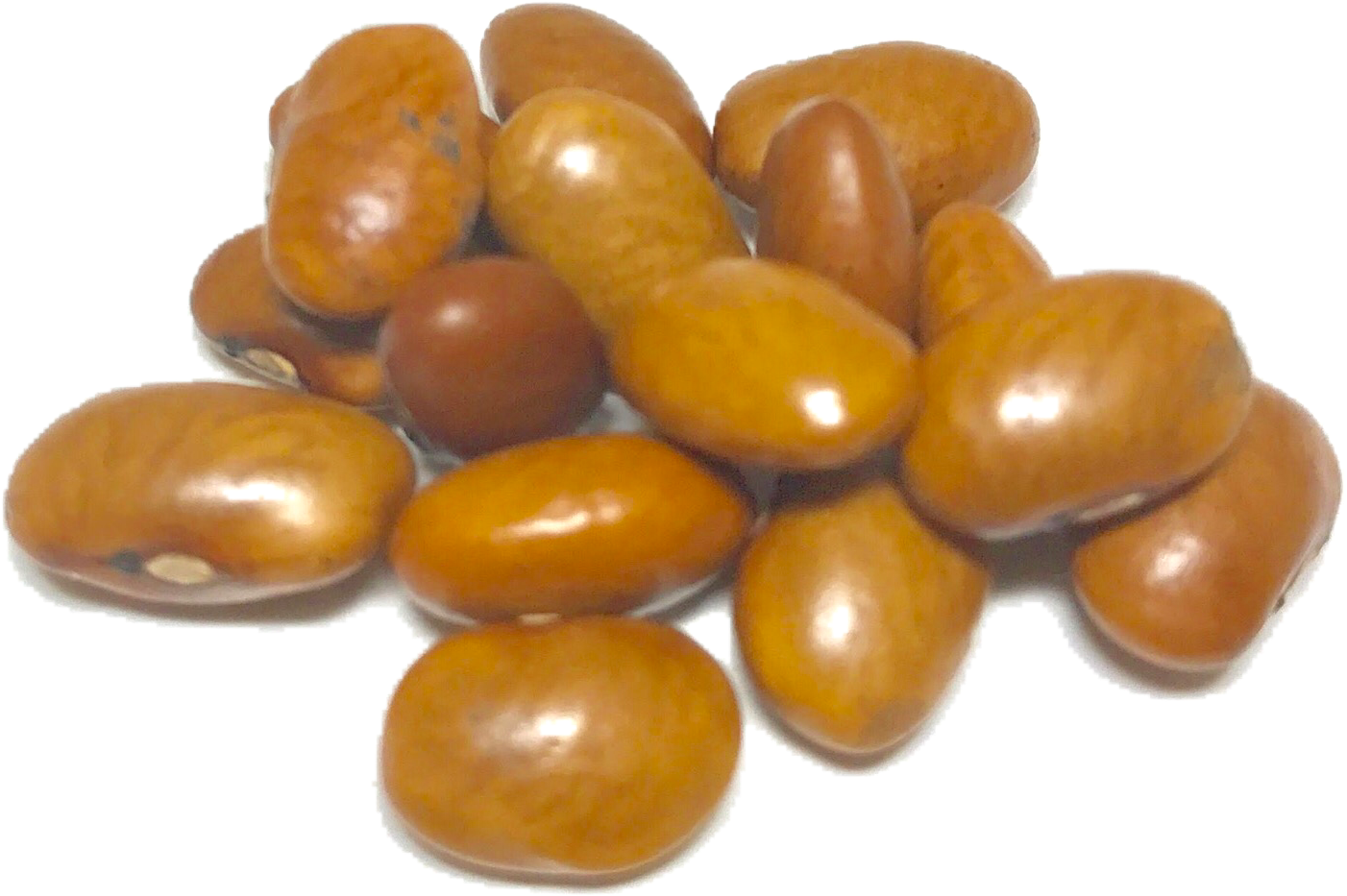 Pileof Raw Peanuts PNG Image