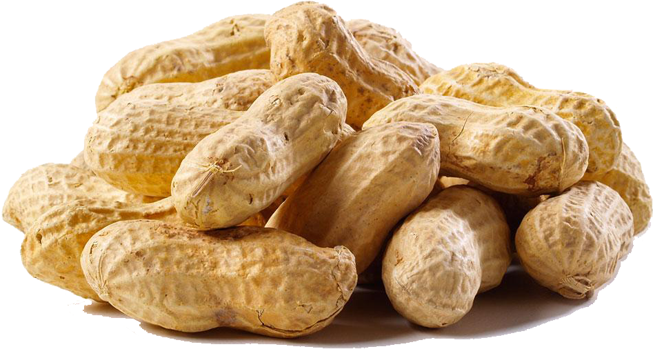 Pileof Raw Peanutsin Shells PNG Image