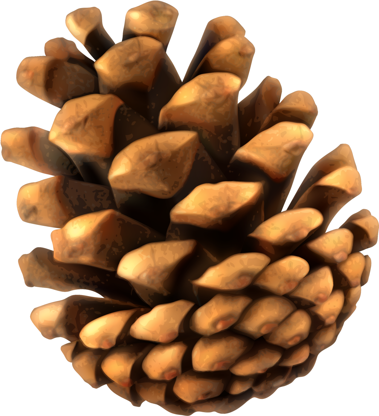 Pine Cone_ Closeup_ Texture PNG Image