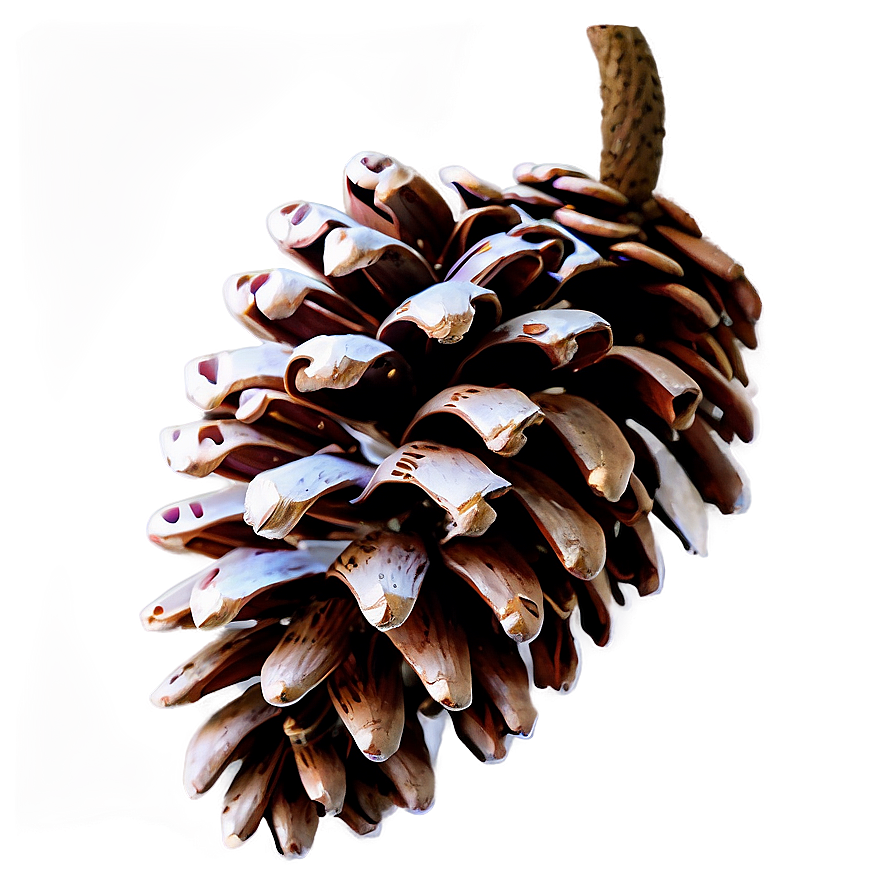 Pine Cone Garland Png 06202024 PNG Image