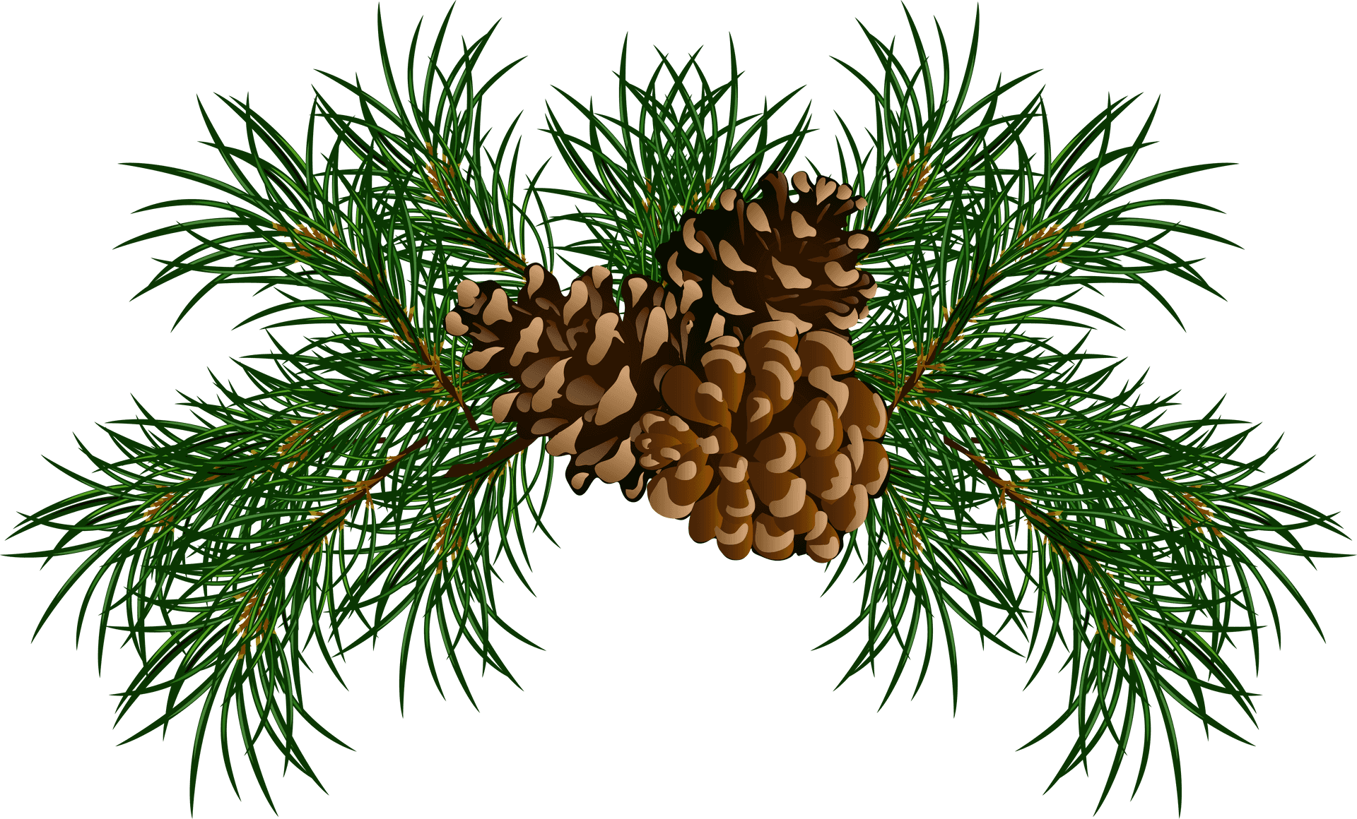 Pine Garland With Cones PNG Image