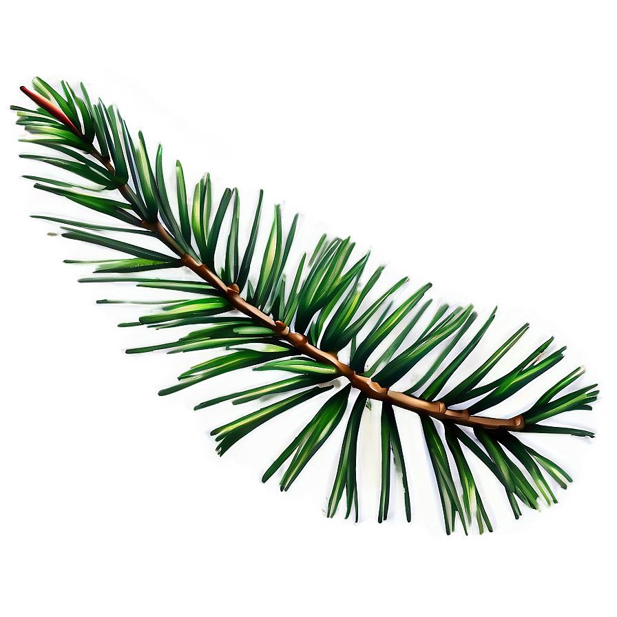 Pine Leaves Png 05042024 PNG Image