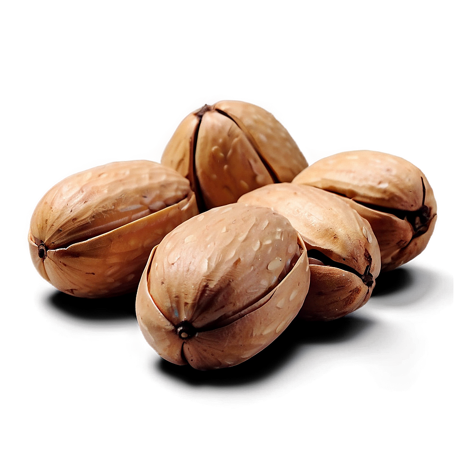 Pine Nut Png Uau PNG Image