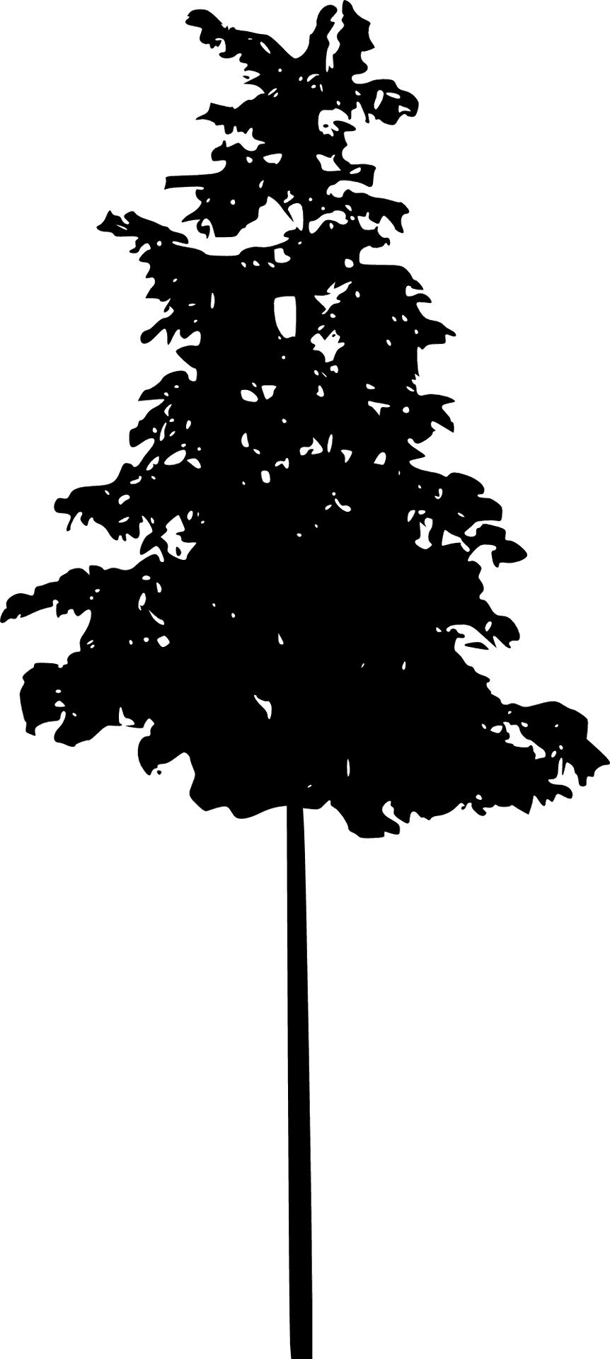 Pine Tree Silhouette Graphic PNG Image