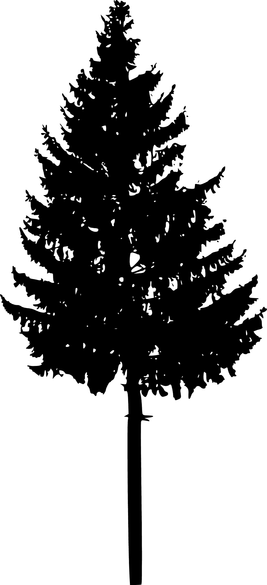 Pine Tree Silhouette Graphic PNG Image