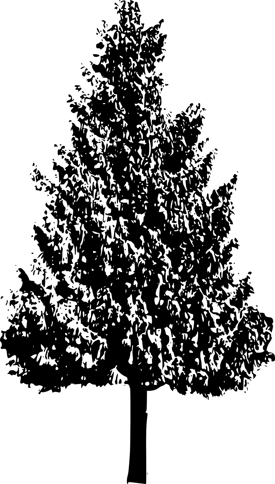 Pine Tree Silhouette Graphic PNG Image