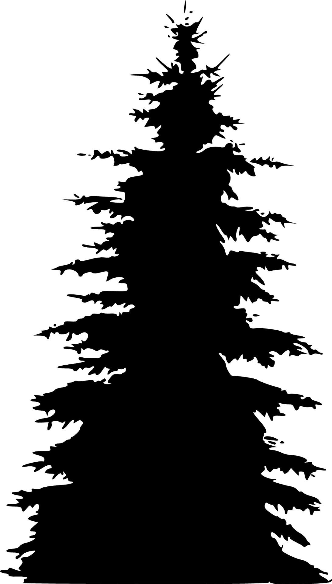 Pine_ Tree_ Silhouette_ Vector PNG Image