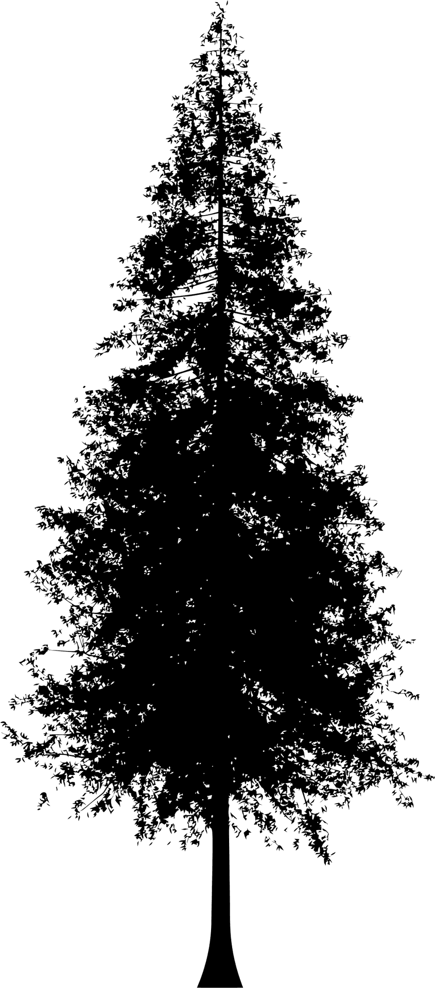 Pine Tree Silhouette Vector PNG Image