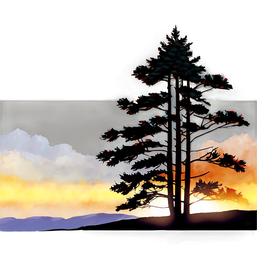 Pine Trees And Sunrise Png Oeb26 PNG Image