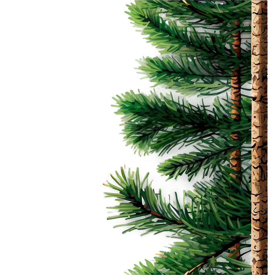 Pine Trees And Sunset Png Jnl38 PNG Image