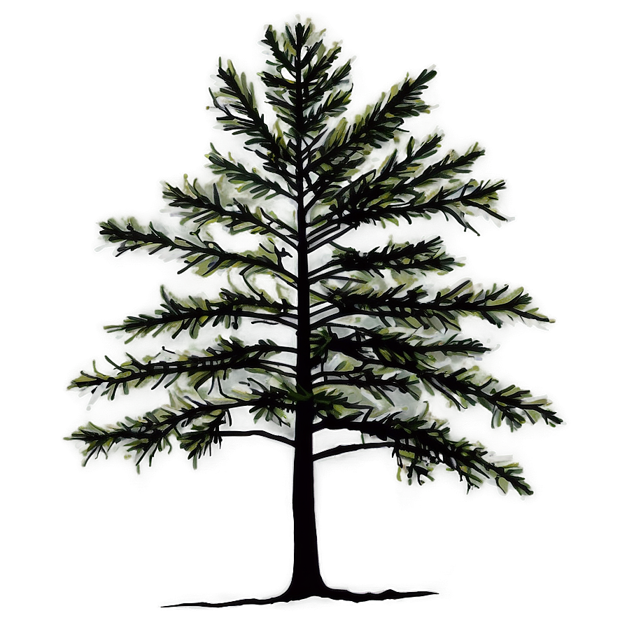 Pine Trees In Fog Png Pne PNG Image