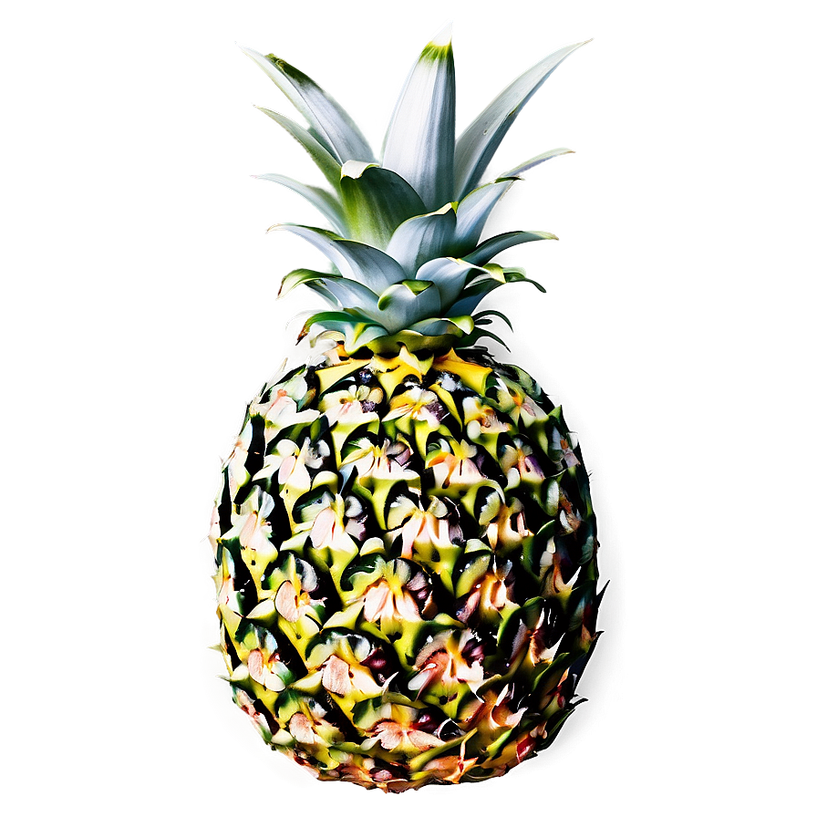 Pineapple Fresh Cut Png Nix56 PNG Image