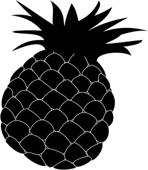 Pineapple Sketch Art PNG Image