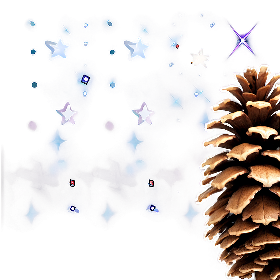 Pinecone Under The Stars Png 06132024 PNG Image