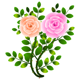 Pink_and_ Peach_ Roses_ Vector_ Illustration PNG Image