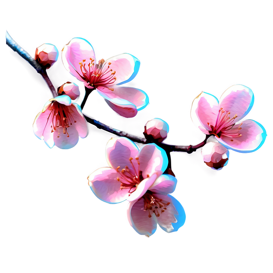 Pink Blossom Branch Png Max81 PNG Image