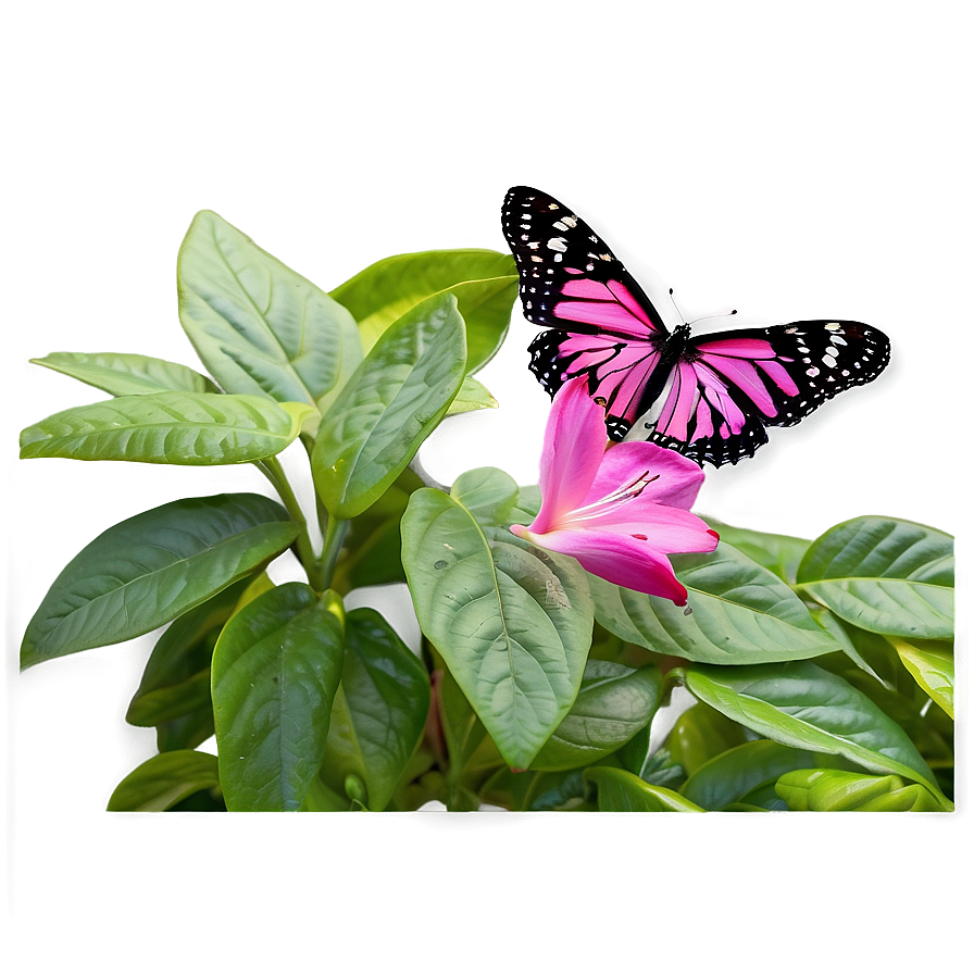 Pink Butterfly In Garden Png 69 PNG Image