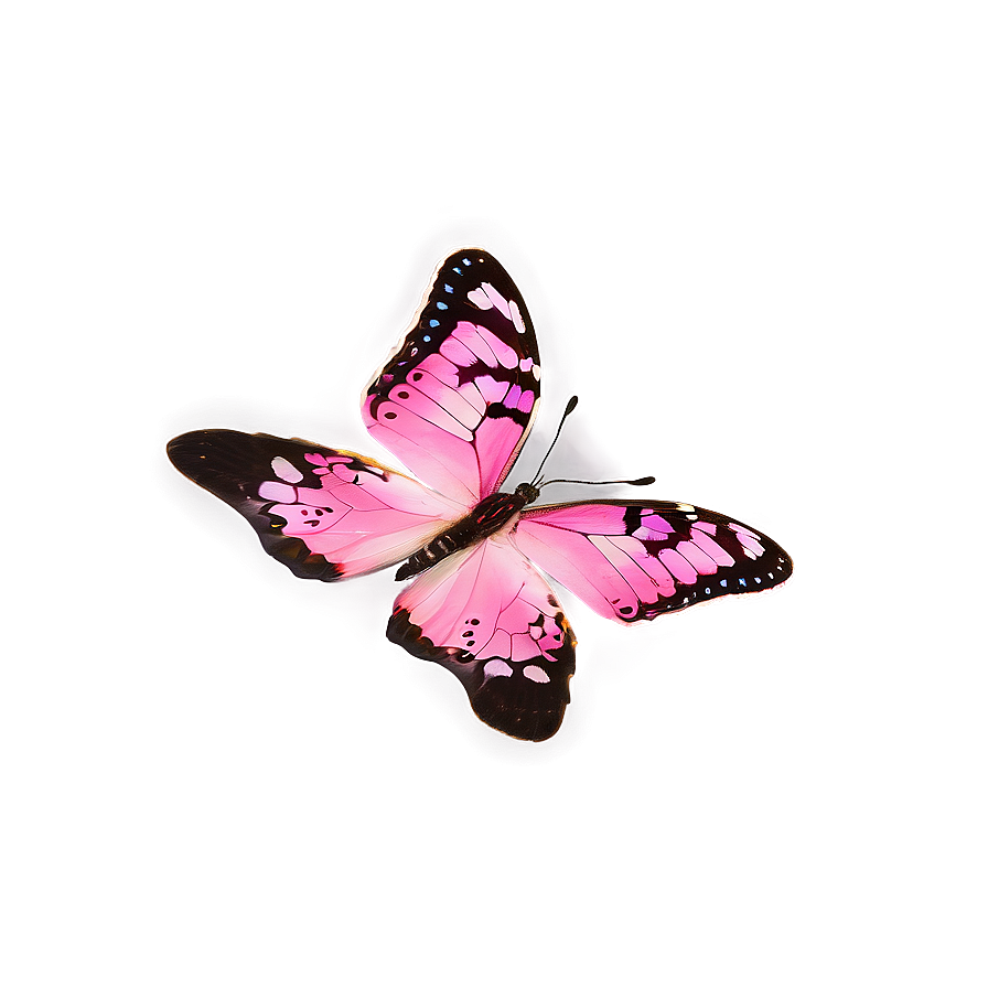 Pink Butterfly Natural Habitat Png 06212024 PNG Image