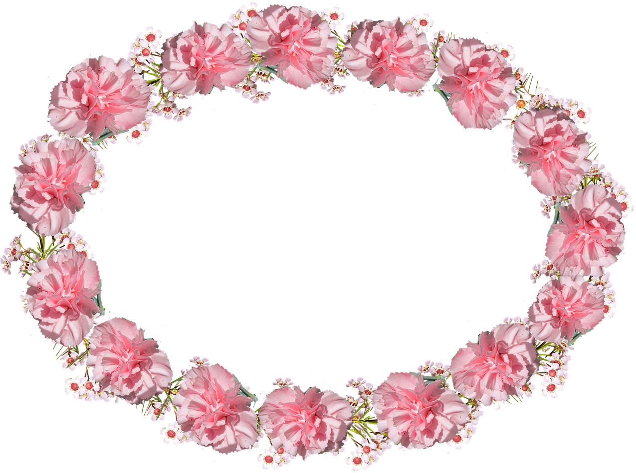 Pink Carnation Wreath Transparent Background PNG Image