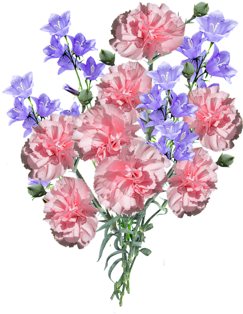 Pink Carnationsand Purple Flowers Bouquet PNG Image