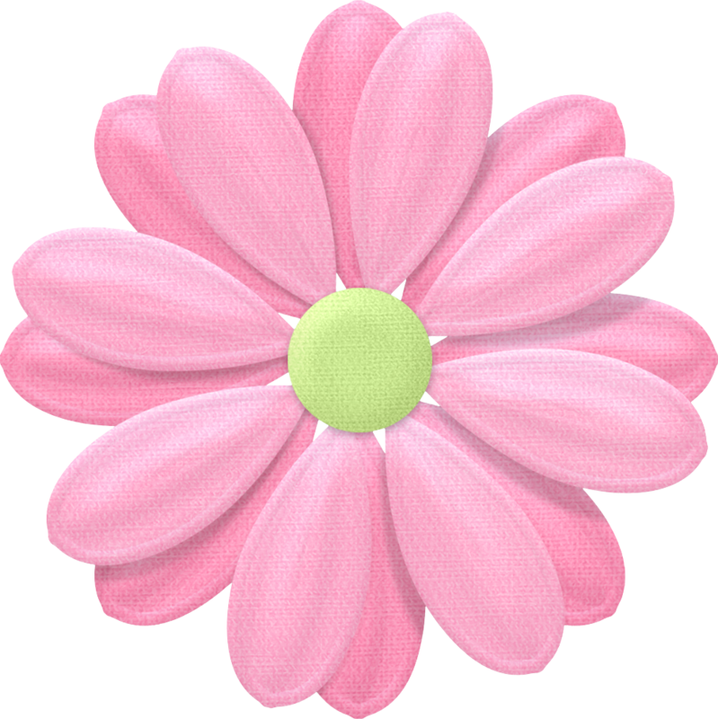 Pink Daisy Illustration PNG Image