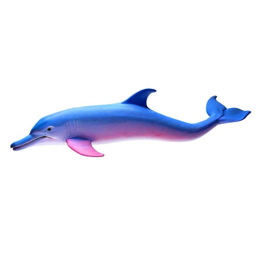 Pink Dolphin Png 74 PNG Image