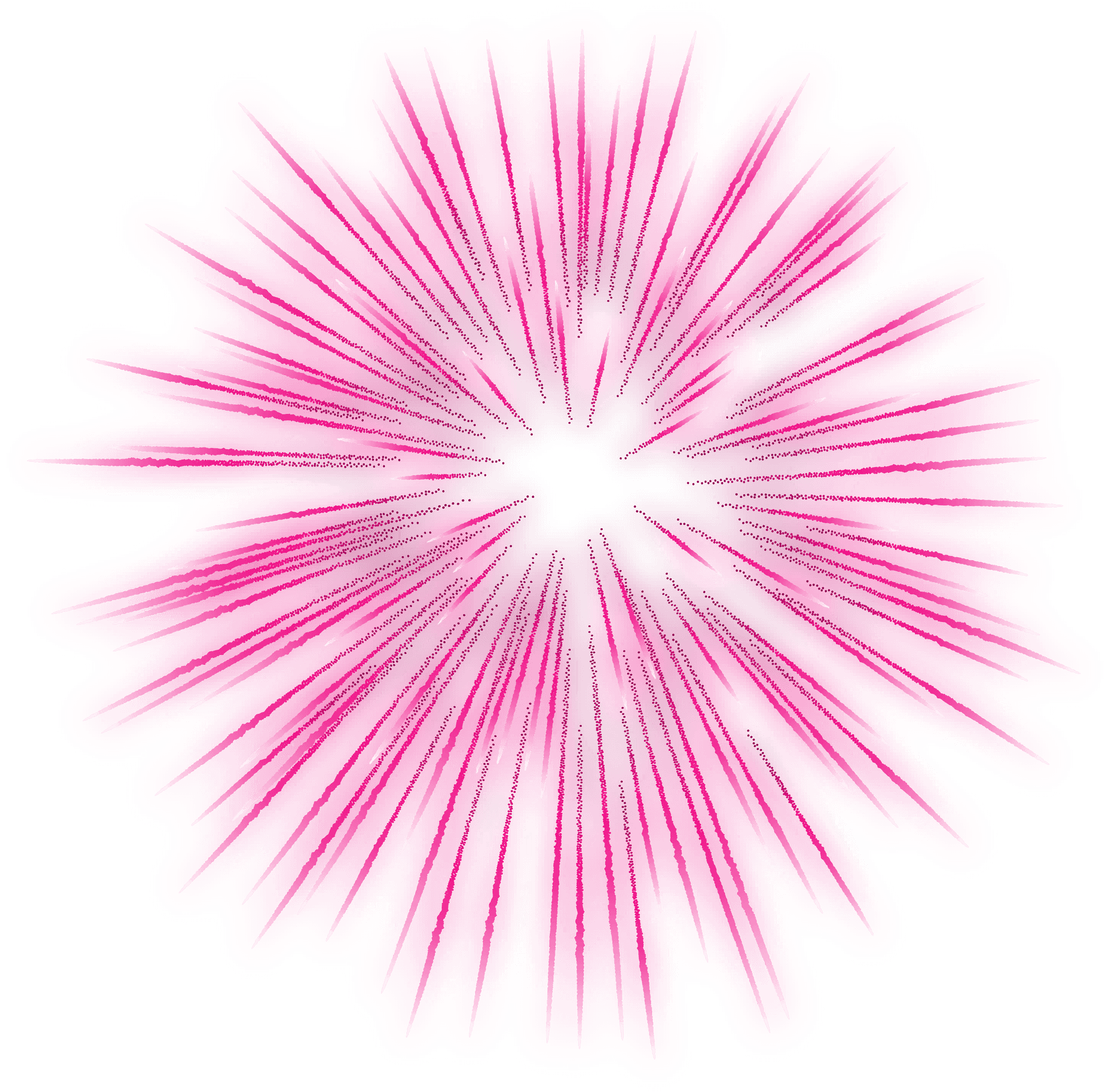 Pink_ Firework_ Bloom_ Illustration PNG Image