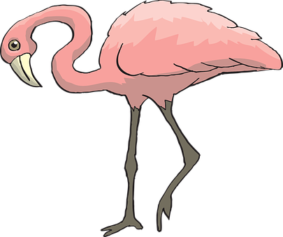 Pink Flamingo Cartoon PNG Image