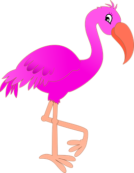 Pink Flamingo Cartoon Illustration PNG Image