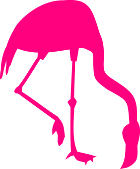 Pink Flamingo Silhouette PNG Image