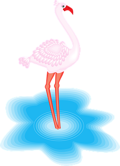 Pink Flamingo Standingin Water PNG Image