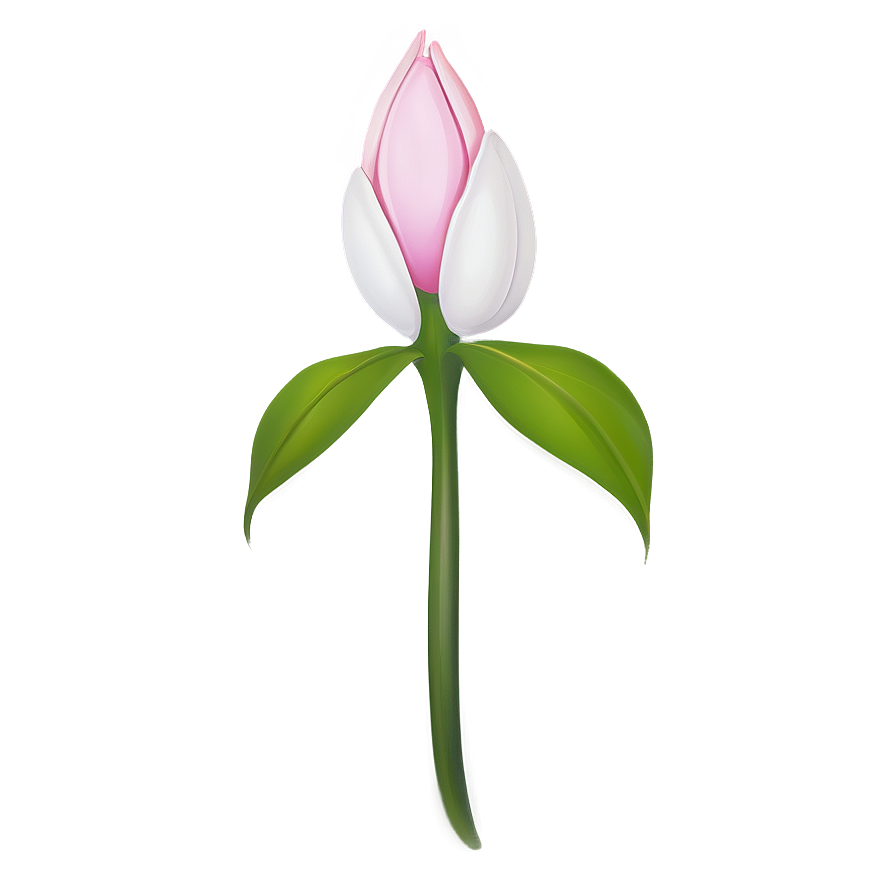 Pink Flower Bud Png Tix PNG Image