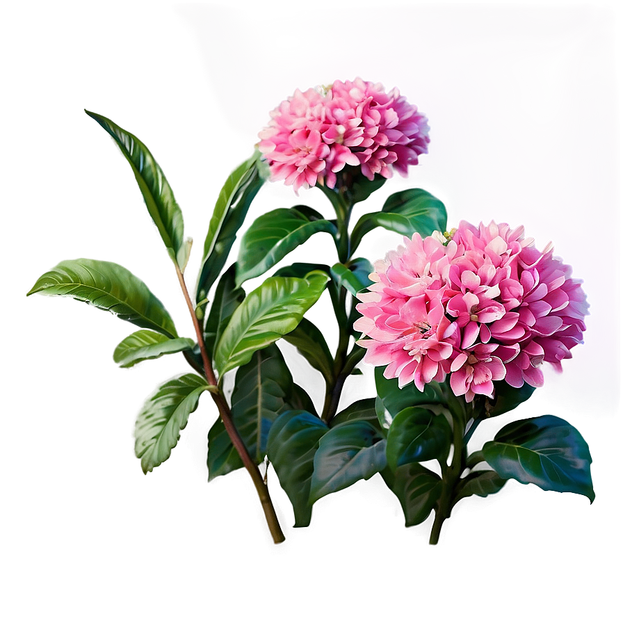 Pink Flower Bush Png 06122024 PNG Image