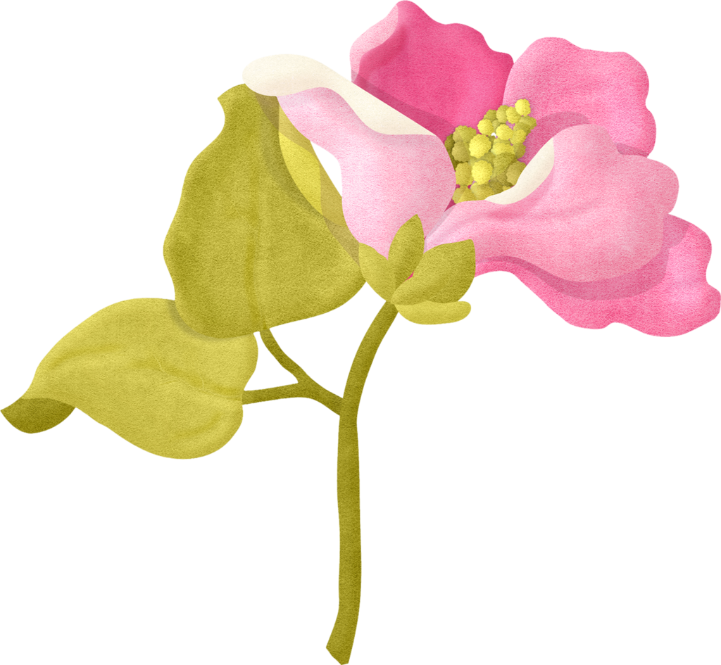 Pink Flower Illustration PNG Image