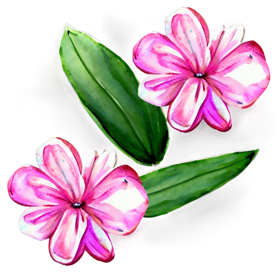 Pink Flowers Watercolor Png Uul PNG Image