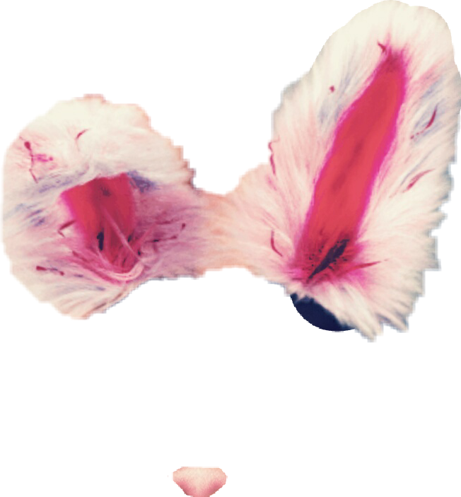 Pink Fluffy Bow Tie PNG Image