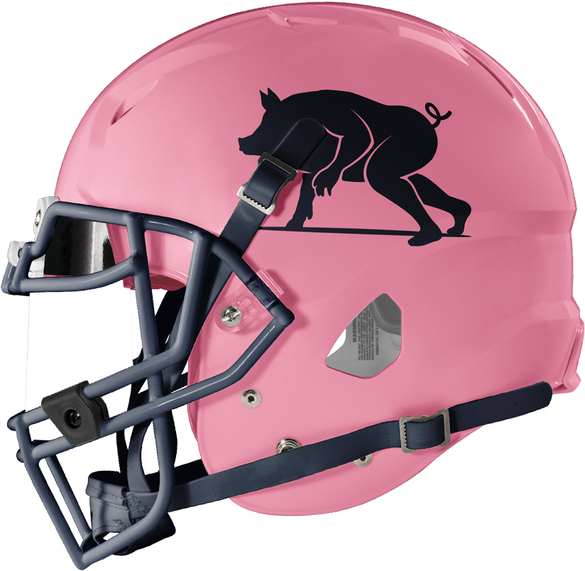 Pink Football Helmetwith Panther Logo PNG Image