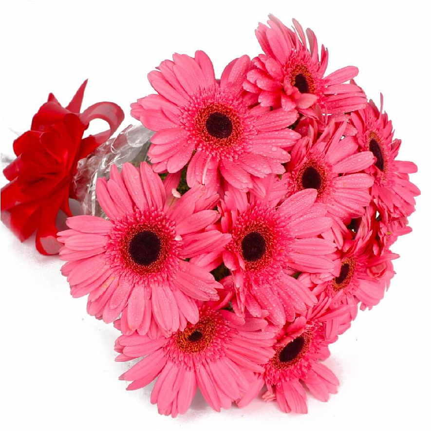 Pink Gerbera Daisy Bouquet PNG Image