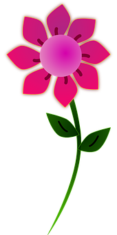 Pink Graphic Floweron Black Background PNG Image