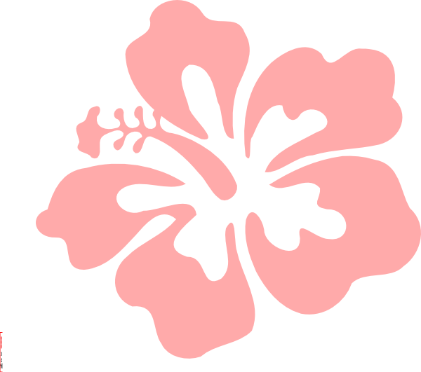 Pink Hibiscus Graphic PNG Image